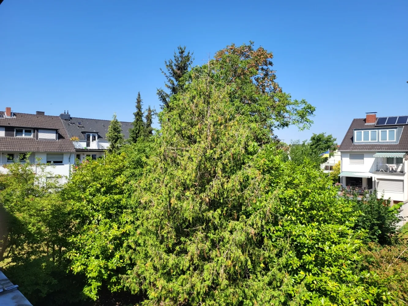 2 room apartment with 50 m² in Bonn – Photo 3