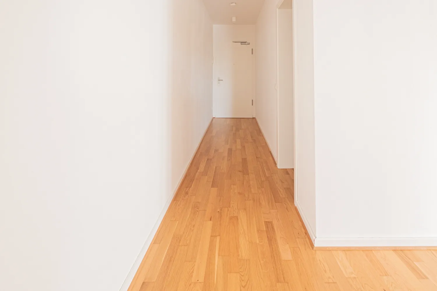 2 room apartment with 60 m² in Dresden – Photo 5
