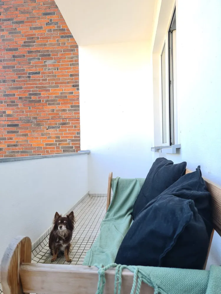 3 room apartment with 70 m² in Cologne – Photo 5