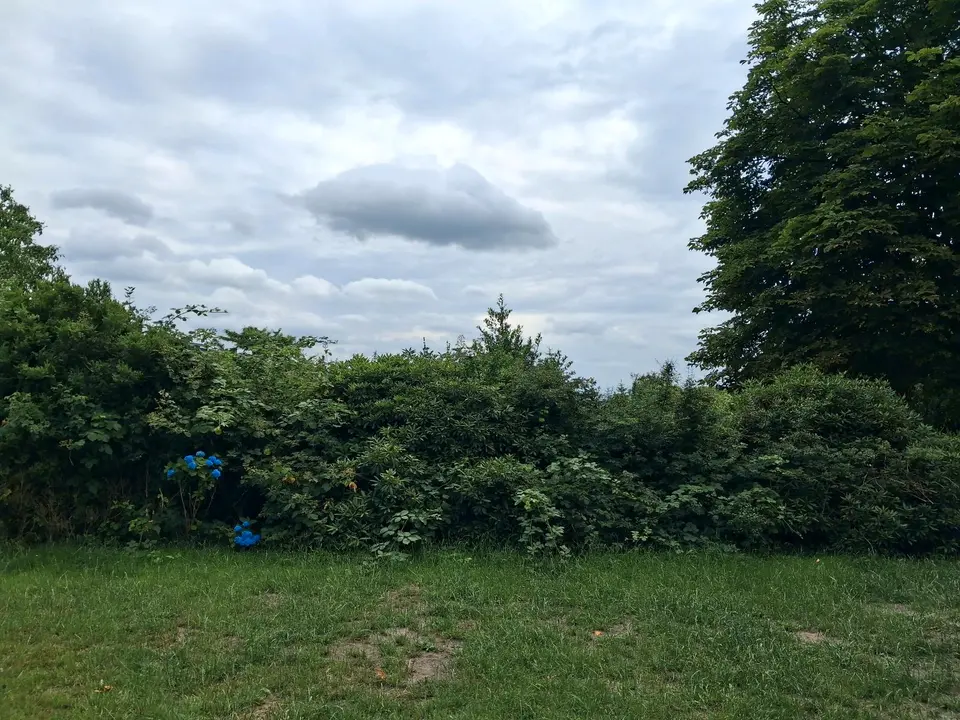 5 Zimmer Haus mit 200 m² in Verden (Aller) – Bild 5