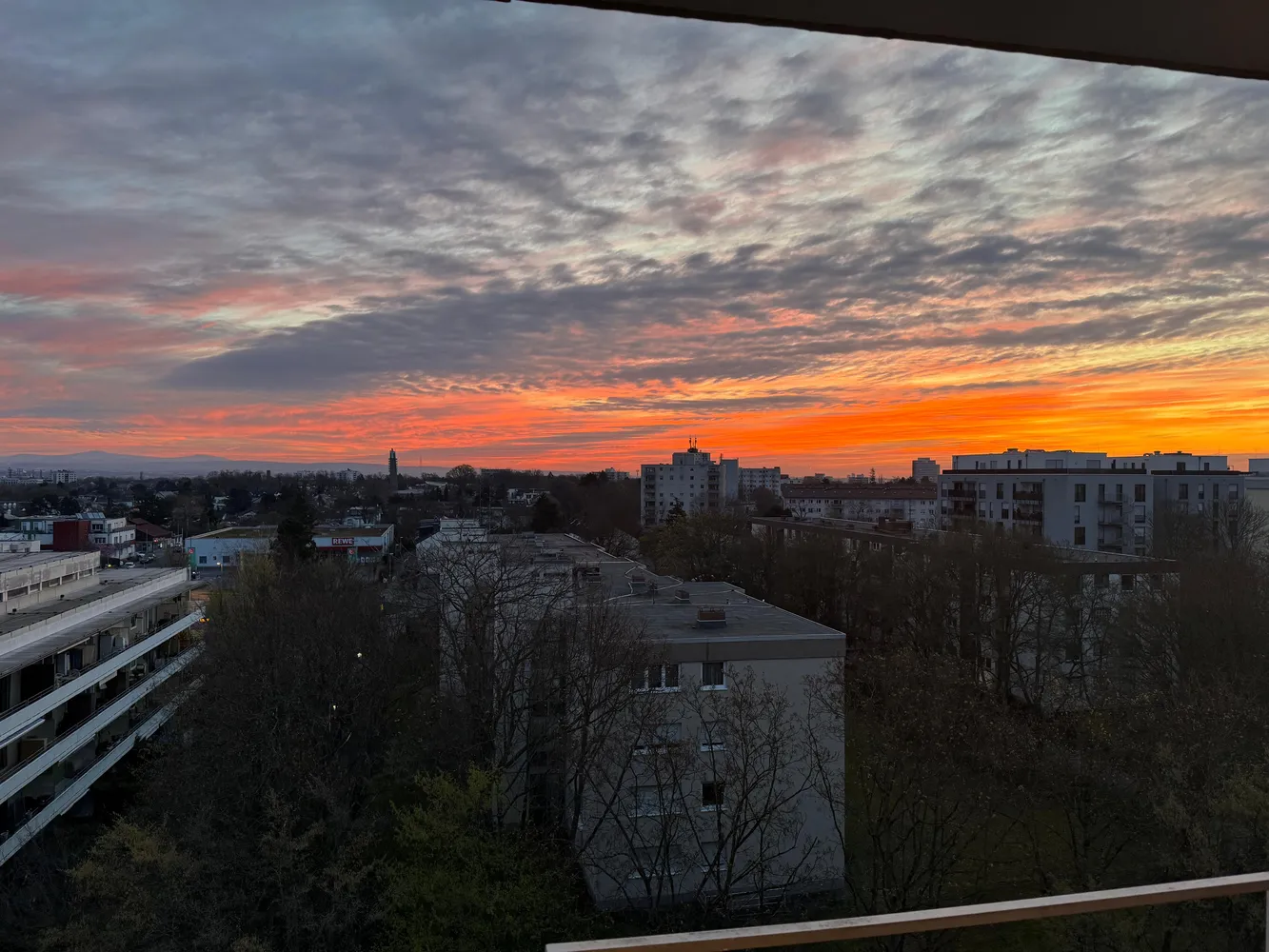 2 Zimmer Wohnung mit 50 m² in Mainz – Bild 7