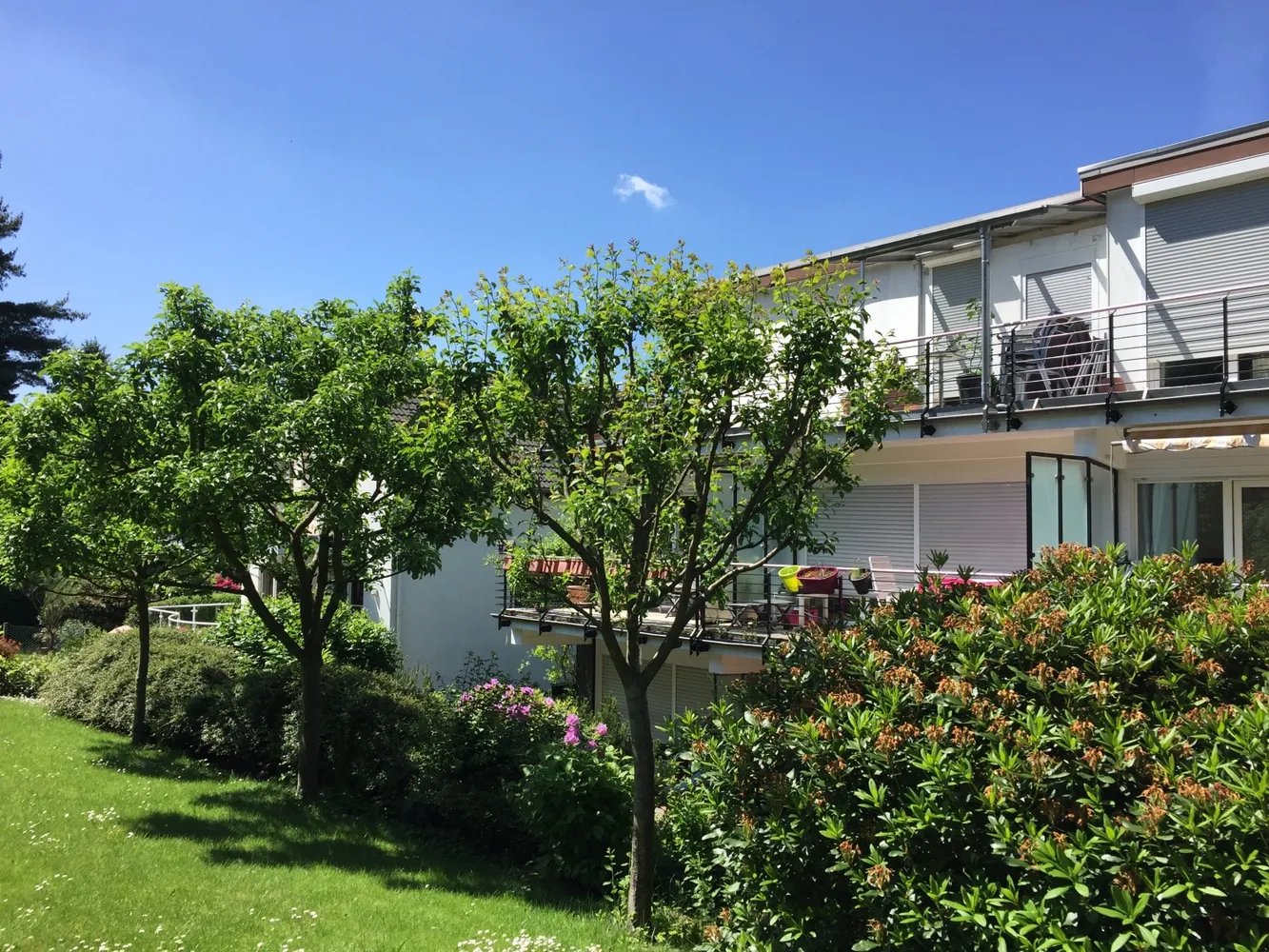 1 Zimmer Wohnung mit 34 m² in Wuppertal – Bild 3