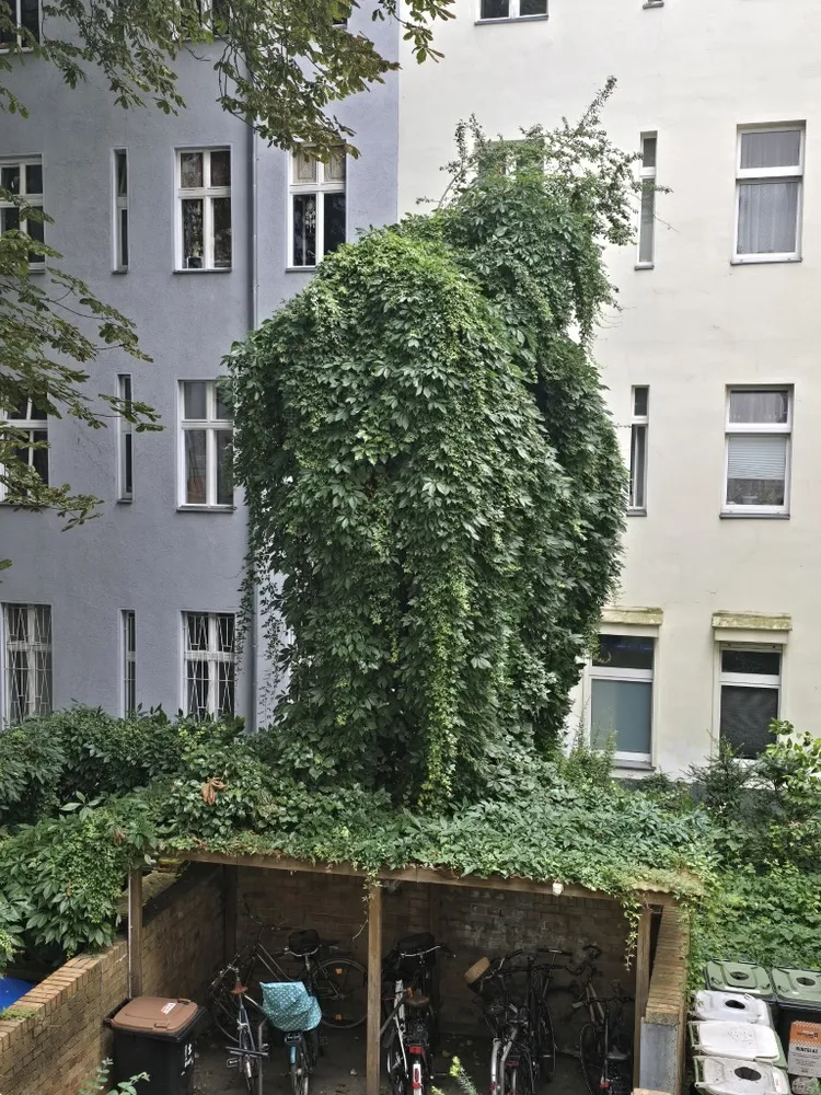 1 Zimmer Wohnung mit 33 m² in Berlin – Bild 3