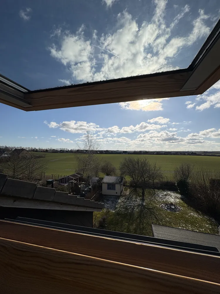 7 Zimmer Haus mit 177 m² in Rostock – Bild 5