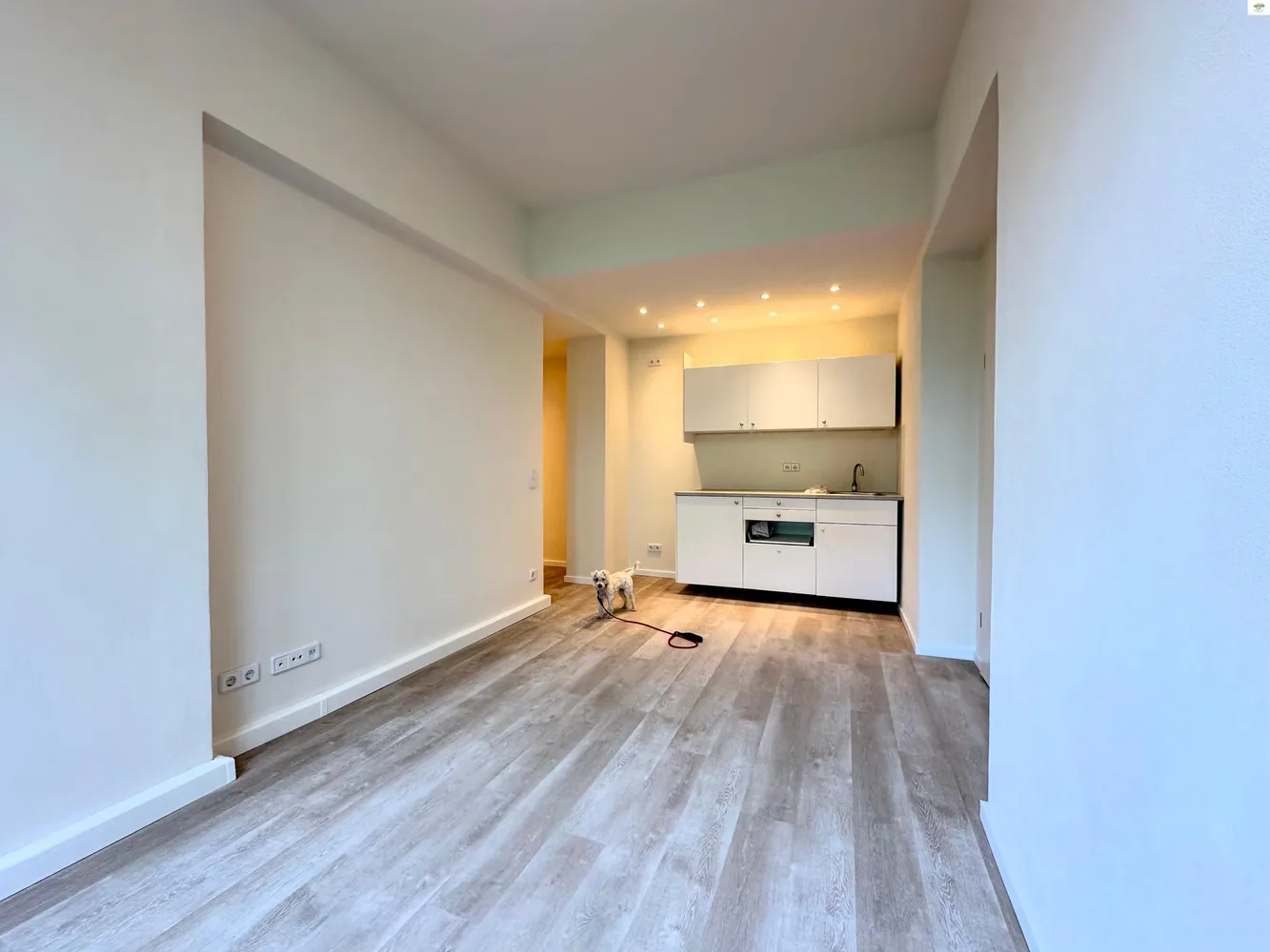 2 Zimmer Wohnung mit 33 m² in Dresden – Bild 2
