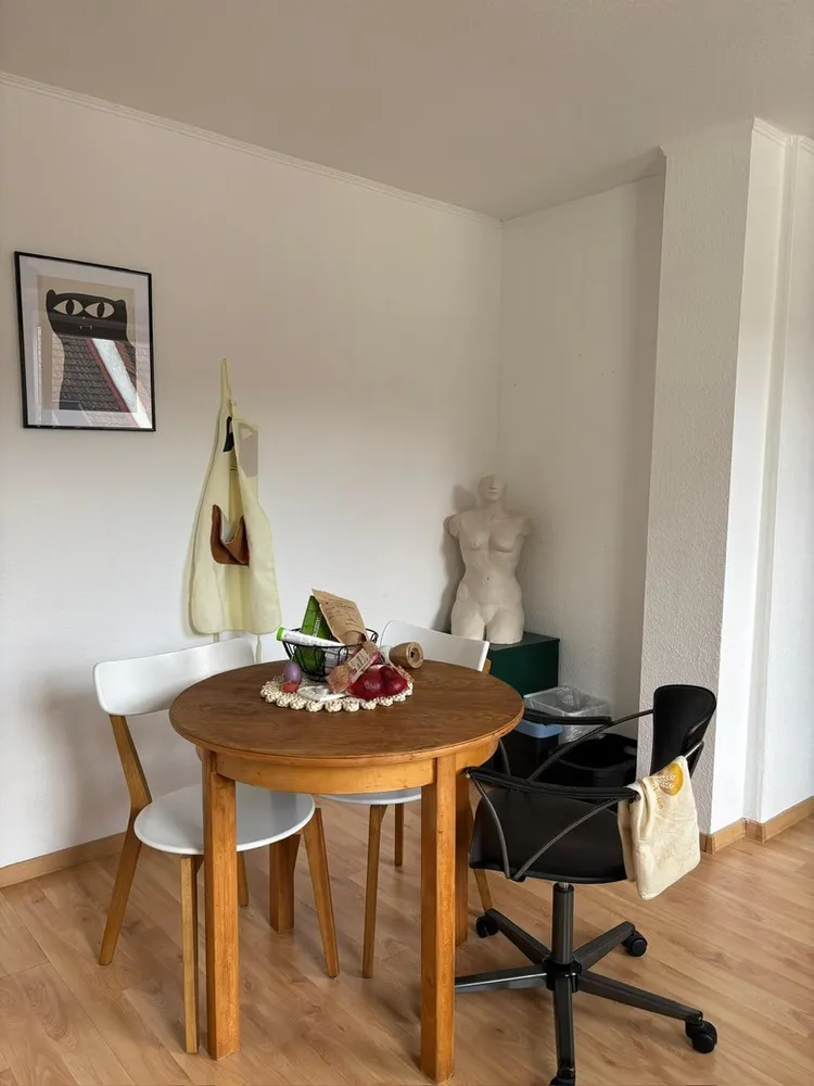 1 Zimmer Wohnung mit 28 m² in Darmstadt – Bild 4