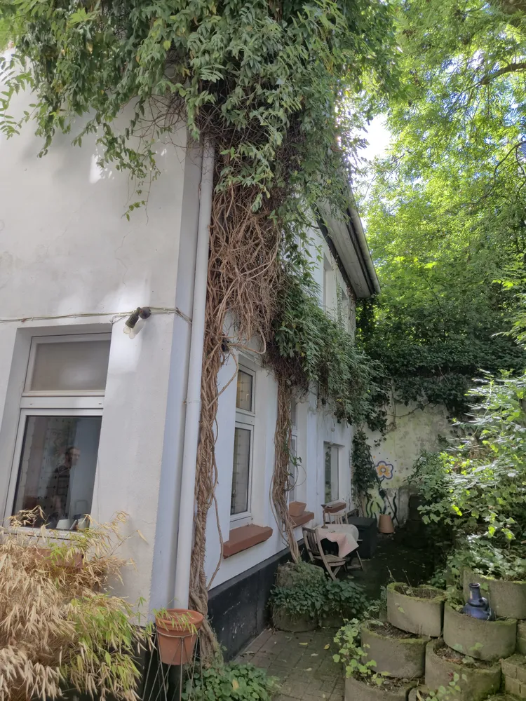 3 Zimmer Wohnung mit 70 m² in Wuppertal – Bild 5