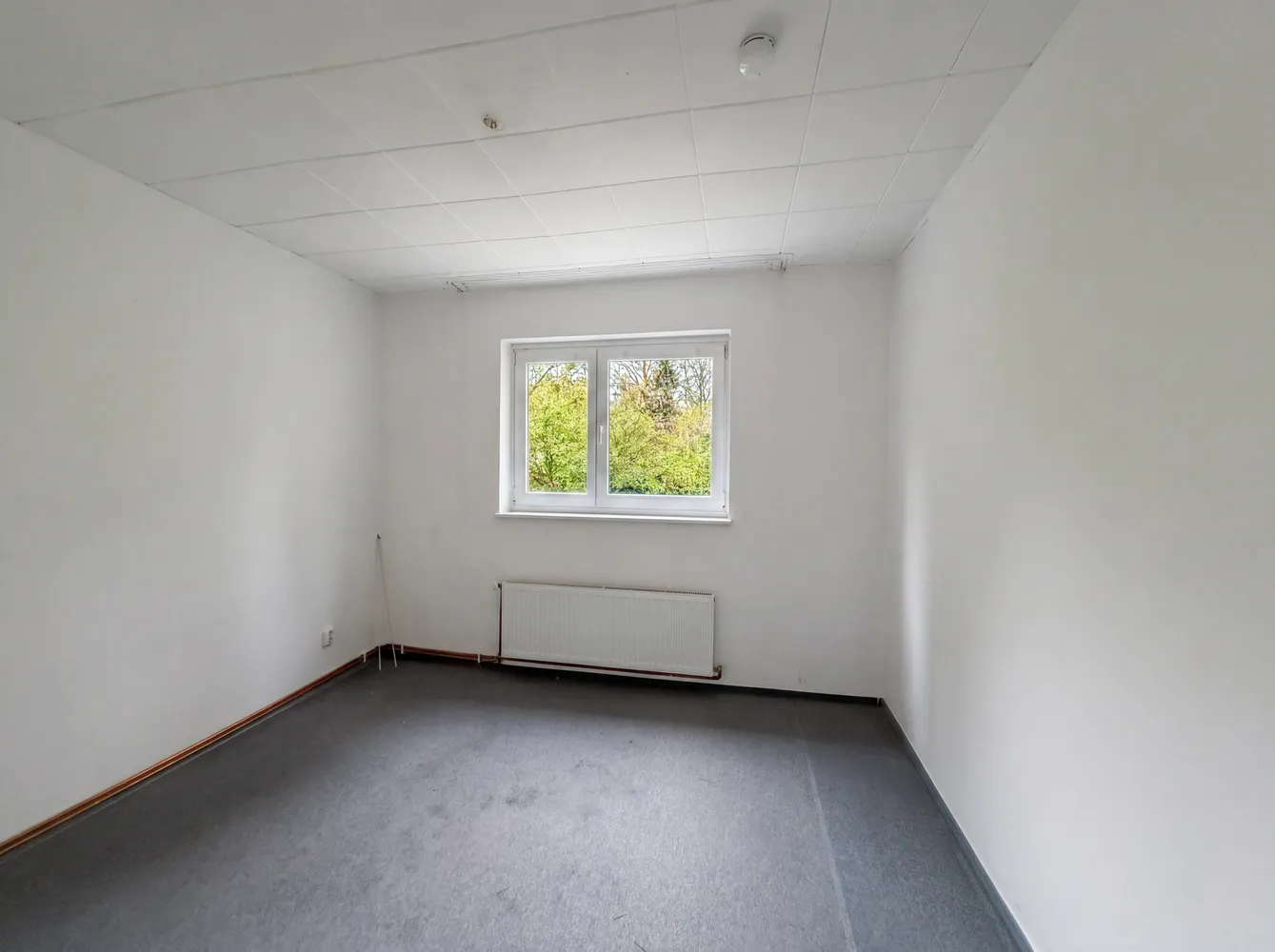 2 Zimmer Wohnung mit 67 m² in Berlin – Bild 3