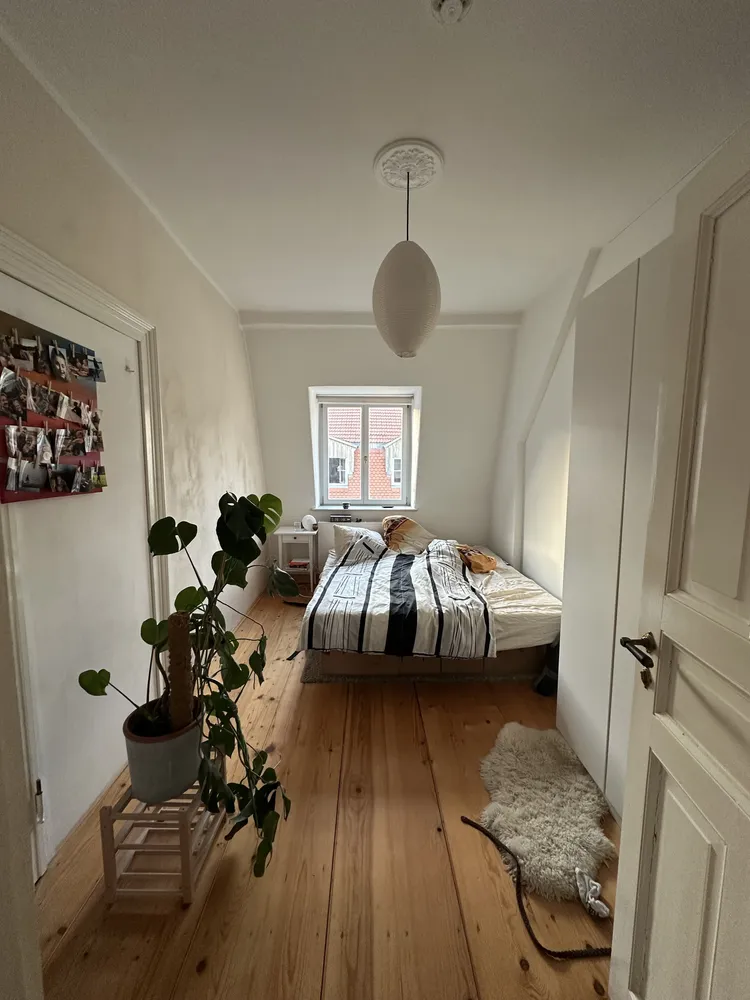 2 room apartment with 59 m² in Dresden – Photo 5
