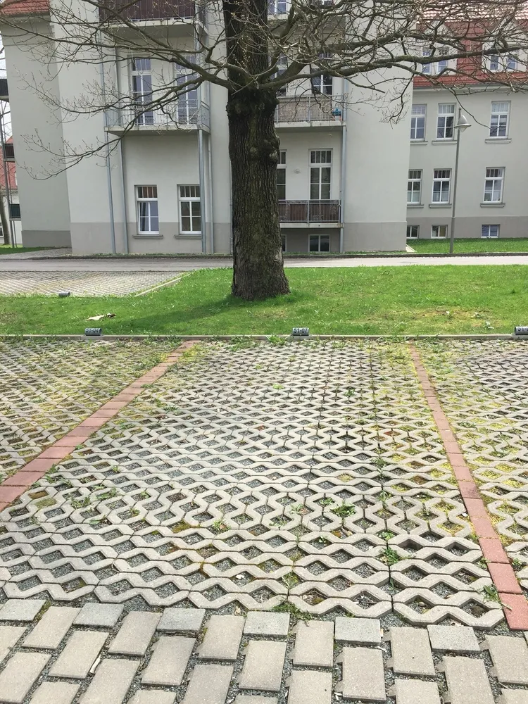 2 room apartment with 58 m² in Chemnitz – Photo 11