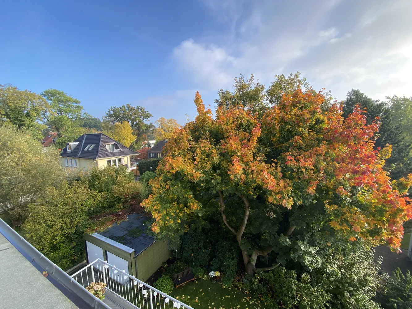 4 Zimmer Wohnung mit 160 m² in Braunschweig – Bild 7