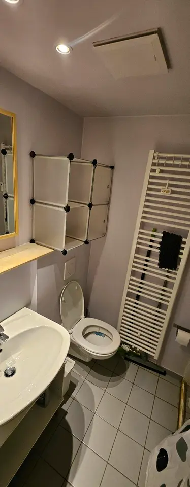 2 Zimmer Wohnung mit 20 m² in Dresden – Bild 5