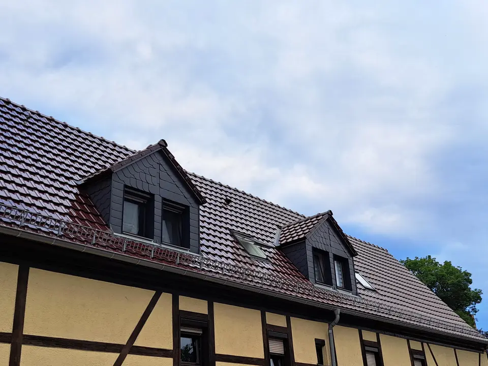 3 Zimmer Wohnung mit 100 m² in Dresden – Bild 2