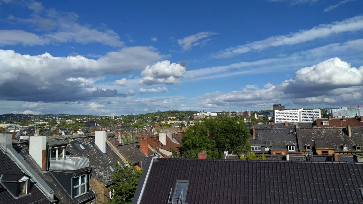 2 room apartment with 32 m² in Wiesbaden – Photo 12