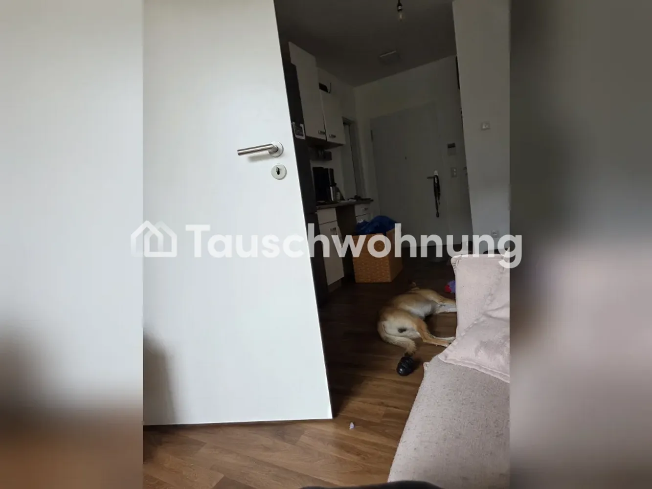 2 room apartment with 34 m² in Berlin – Photo 5