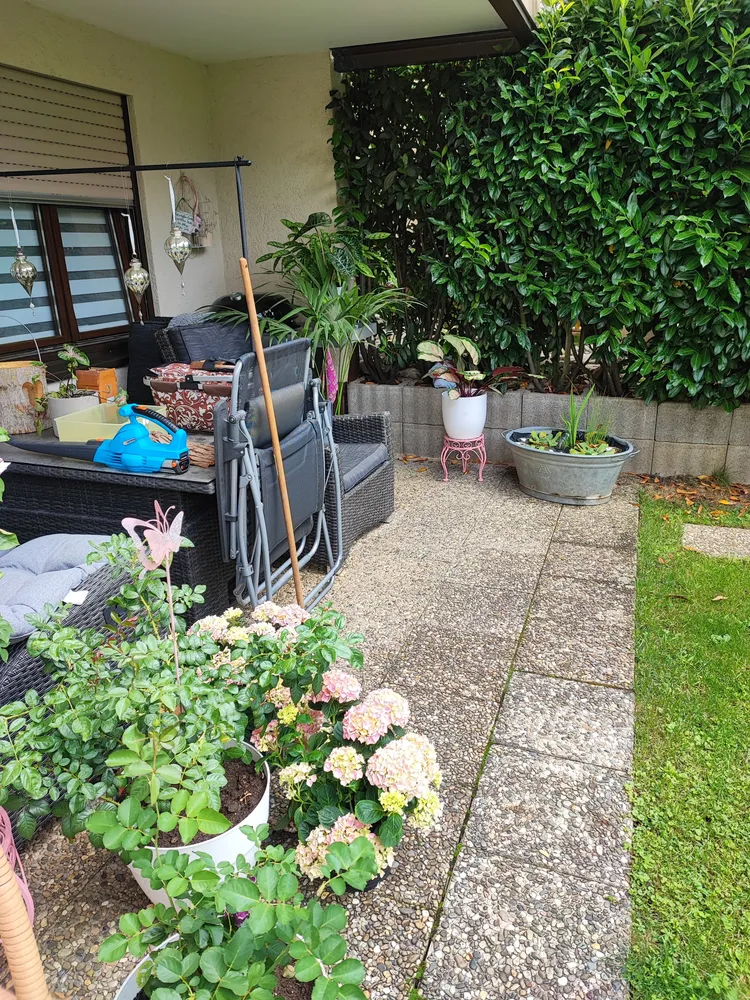 2 room apartment with 64 m² in Lörrach – Photo 11