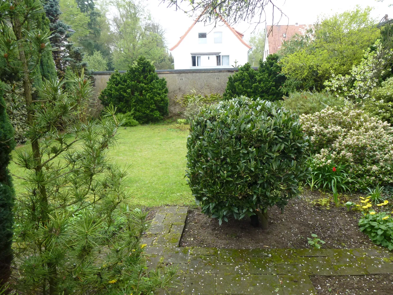 2 Zimmer Wohnung mit 30 m² in Osnabrück – Bild 3