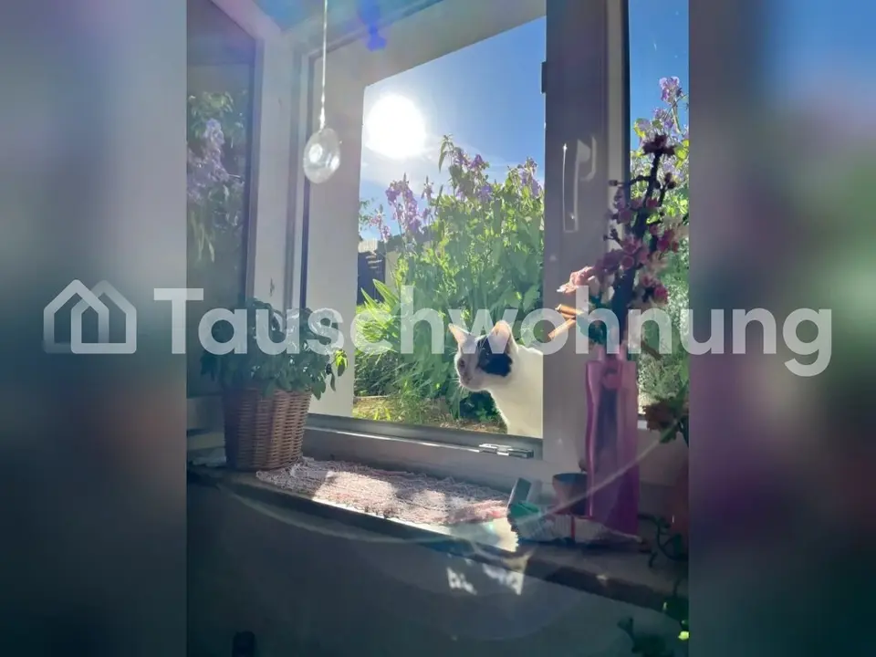 Studio mit 34 m² in Emmendingen – Bild 5