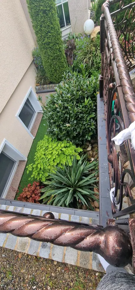 WG-Zimmer mit 156 m² in Tübingen – Bild 7
