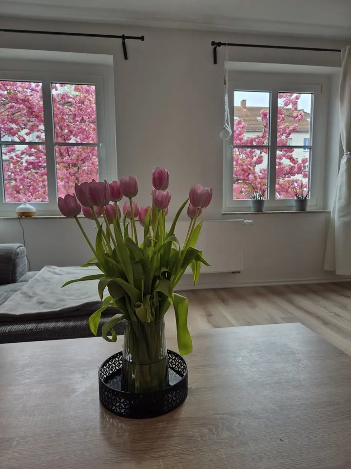 3 Zimmer Wohnung mit 65 m² in Chemnitz – Bild 2