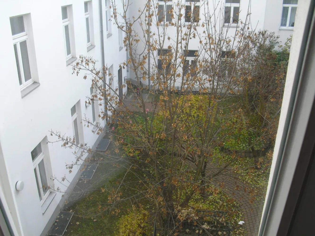 2 Zimmer Wohnung mit 53 m² in Magdeburg – Bild 3