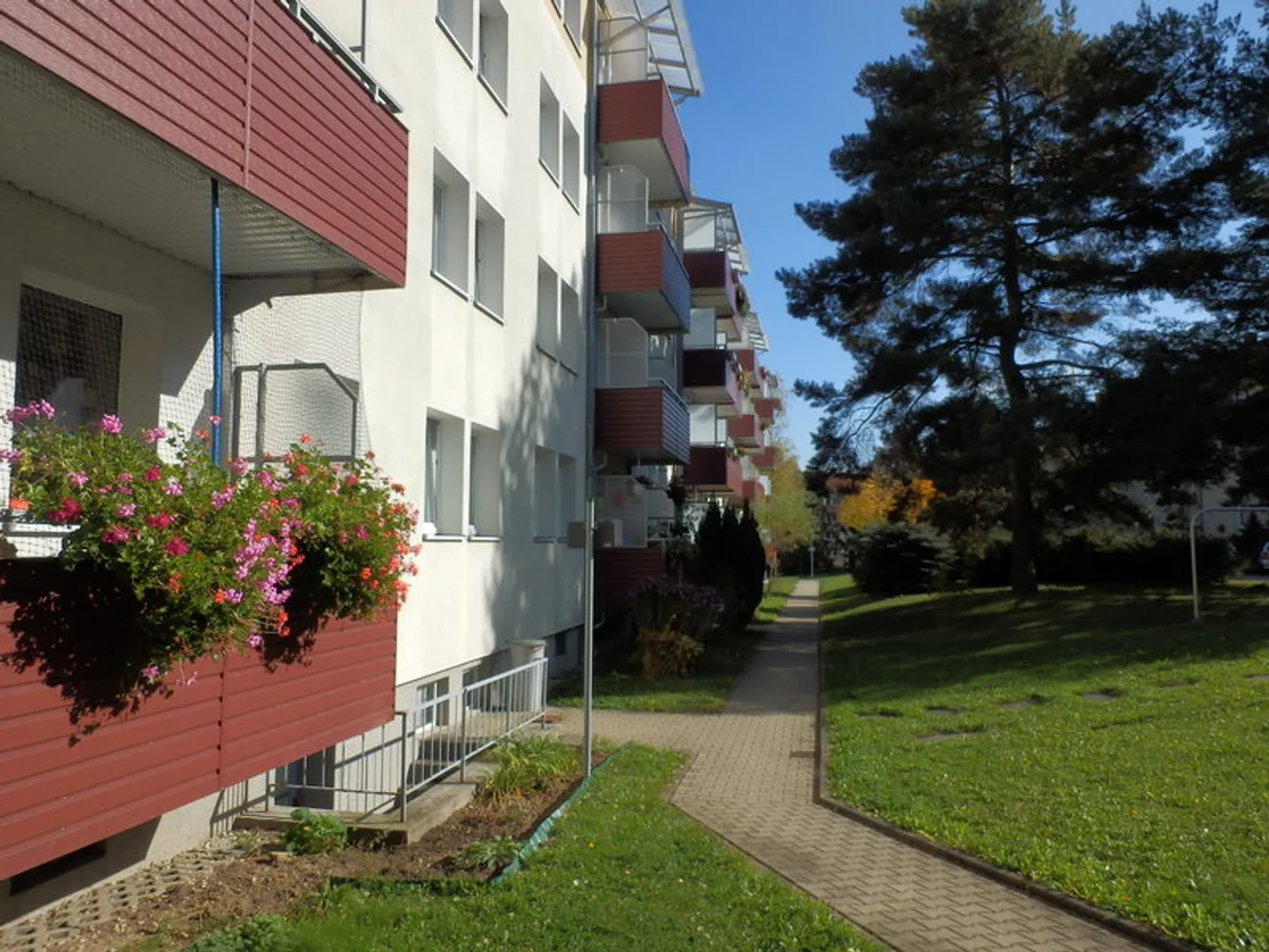 3 room apartment with 58 m² in Chemnitz – Photo 9