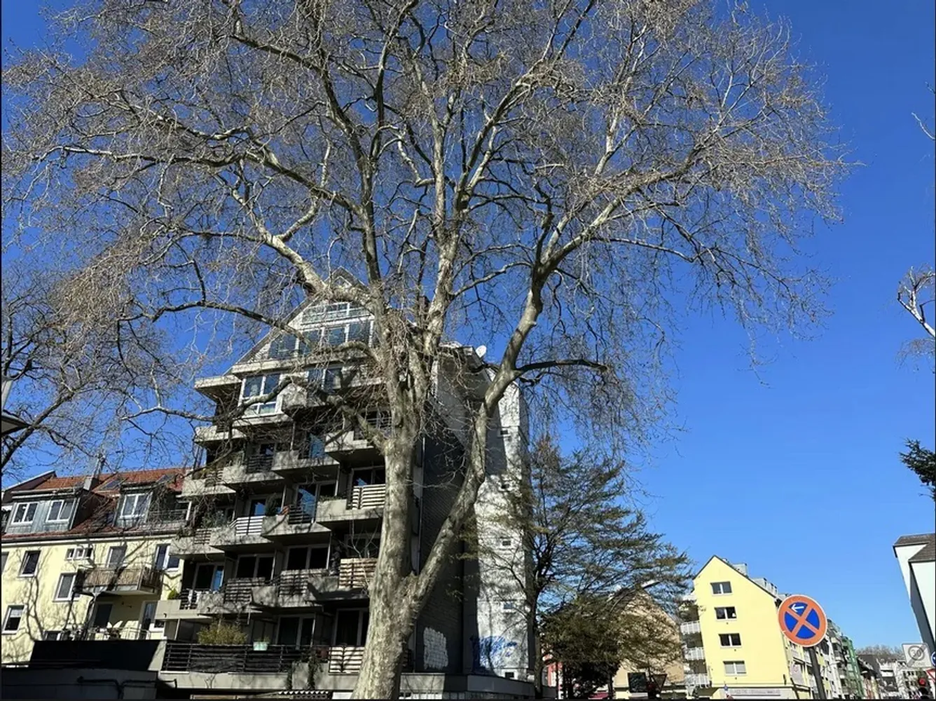 1 Zimmer Wohnung mit 19 m² in Köln – Bild 1