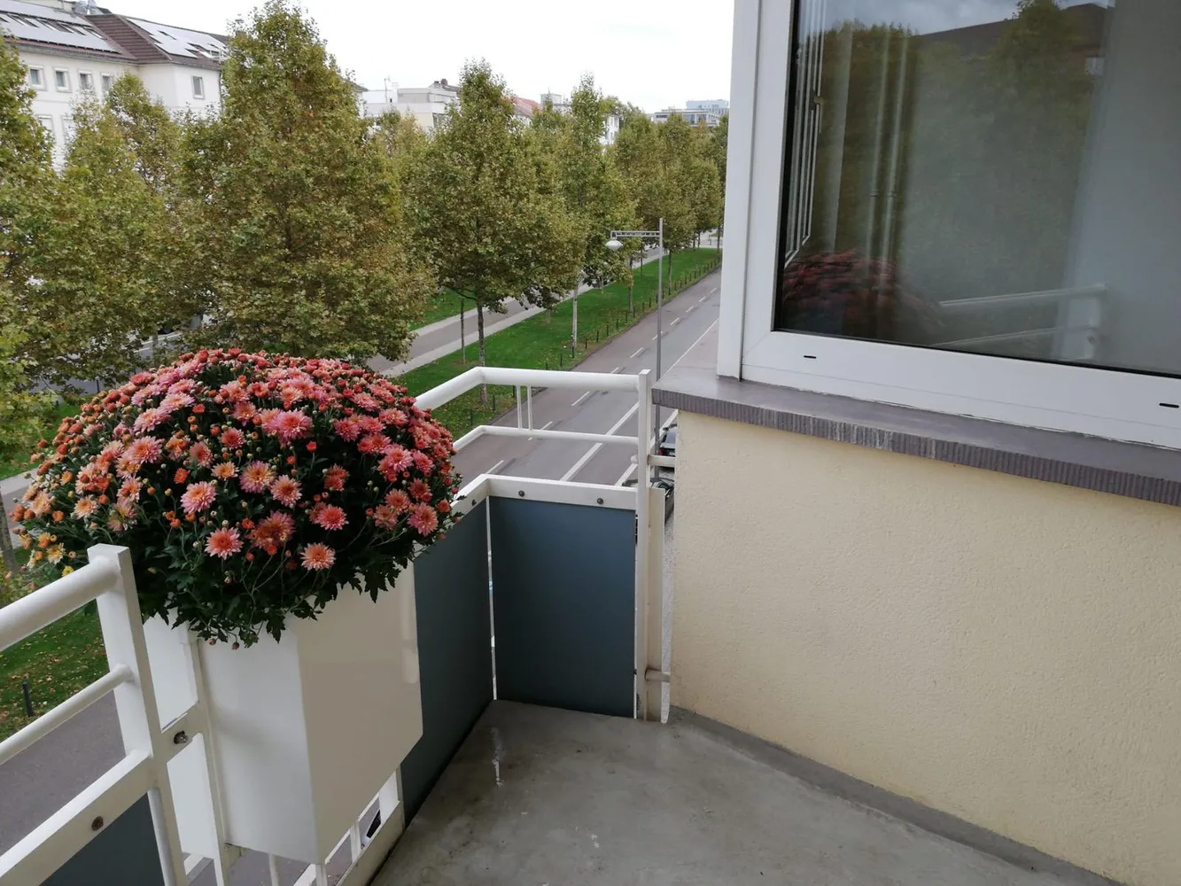 2 Zimmer Wohnung mit 50 m² in Mannheim – Bild 1