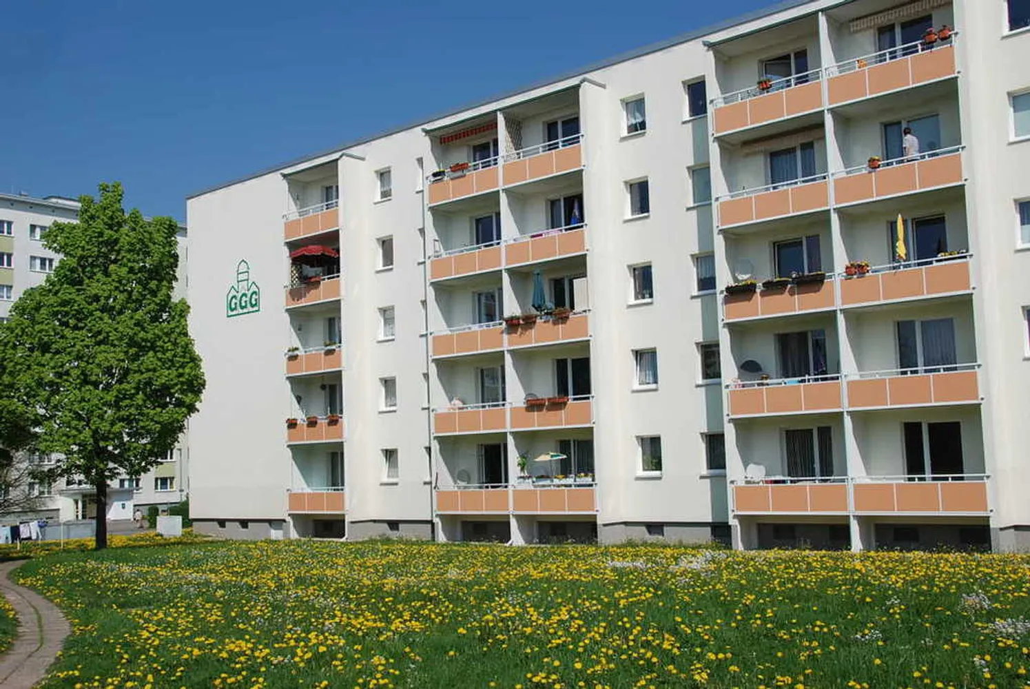 3 Zimmer Wohnung mit 58 m² in Chemnitz – Bild 2