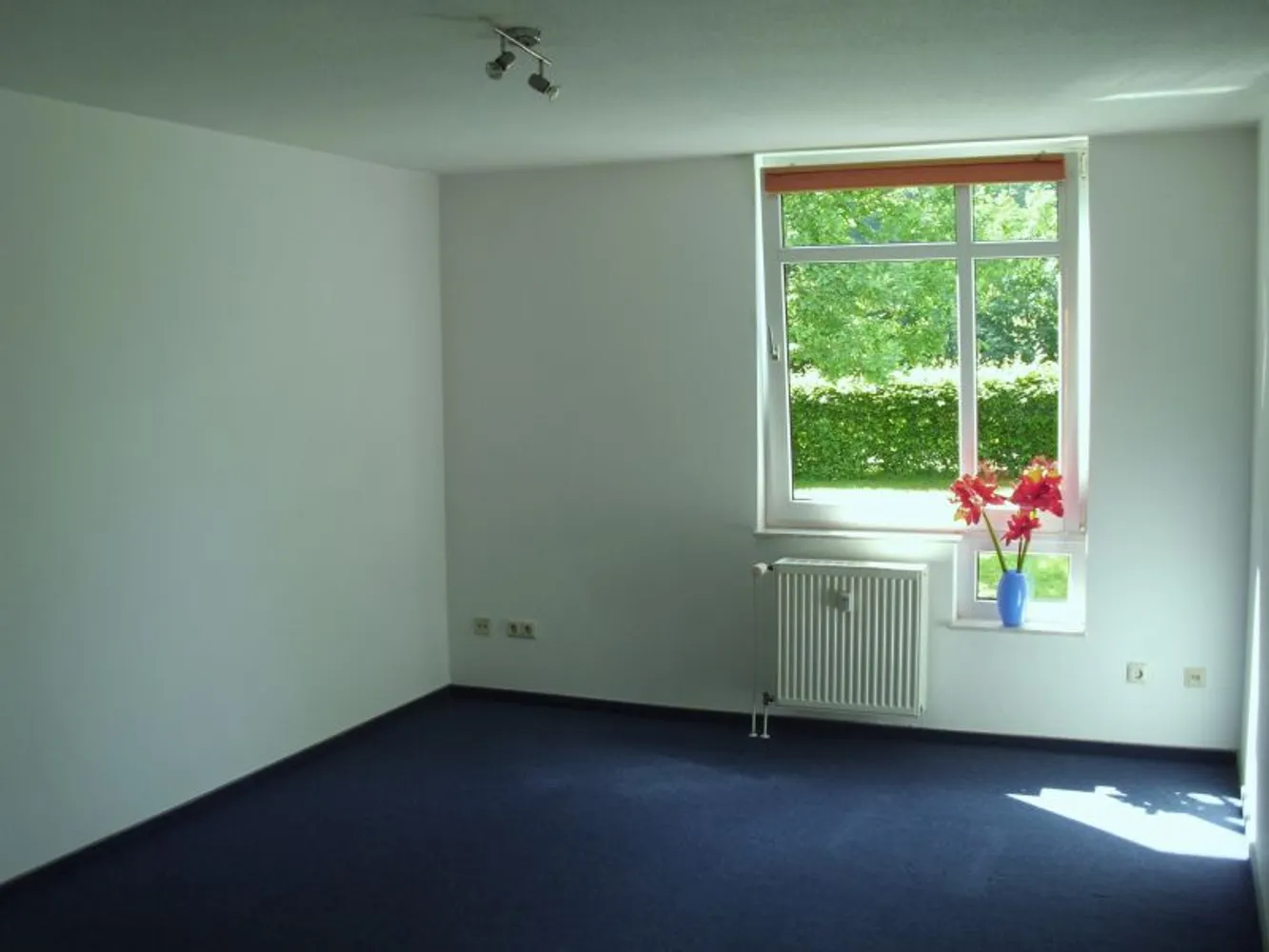1 Zimmer Wohnung mit 22 m² in Bielefeld – Bild 3
