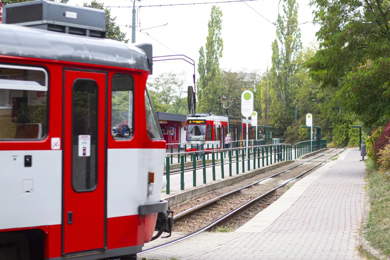2 Zimmer Wohnung mit 46 m² in Halle (Saale) – Bild 7