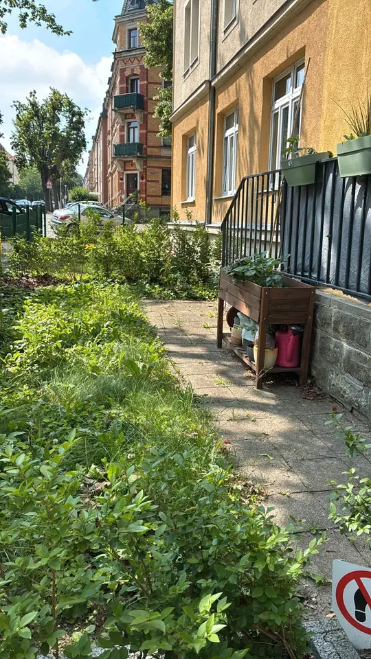 WG-Zimmer mit 76 m² in Dresden – Bild 3