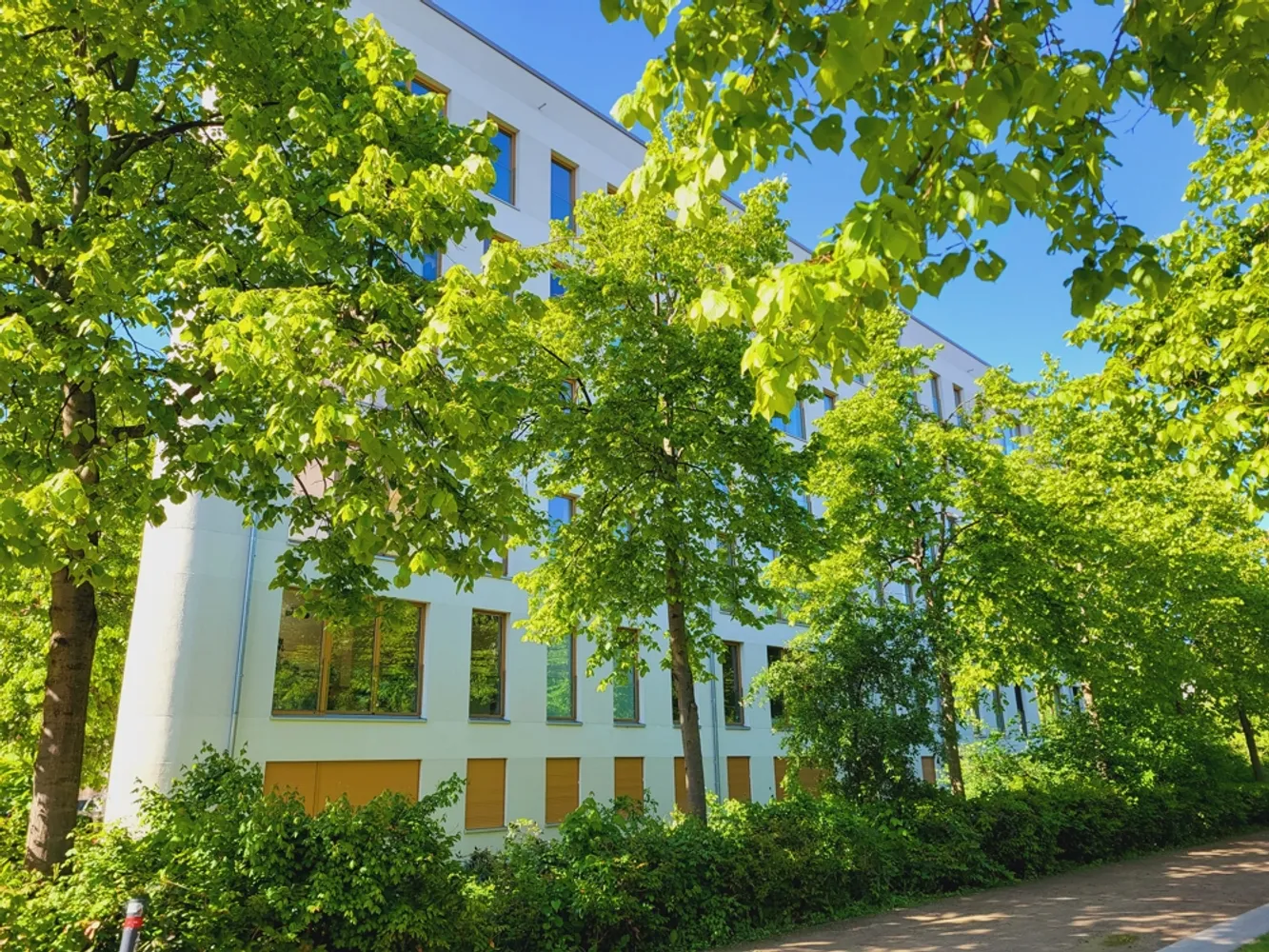 2 Zimmer Wohnung mit 65 m² in Leipzig – Bild 4