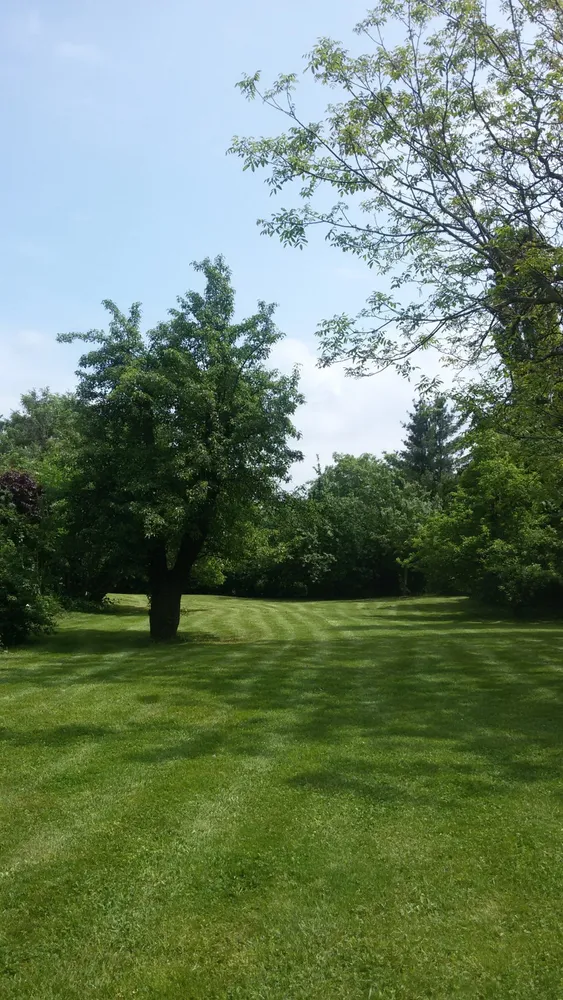 1 room apartment with 37 m² in Radebeul – Photo 2