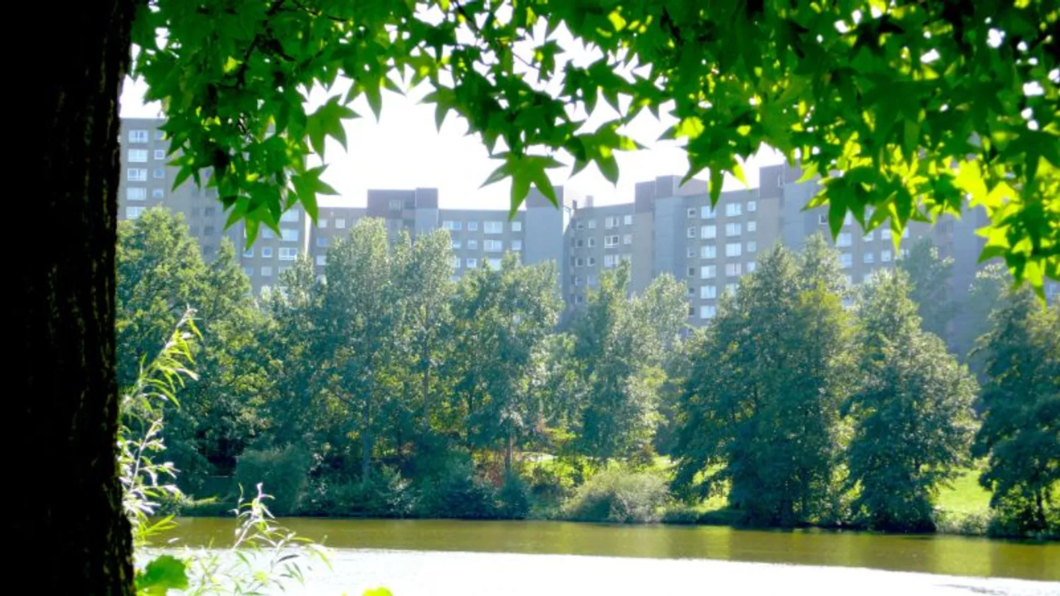 3 Zimmer Wohnung mit 74 m² in Darmstadt – Bild 1