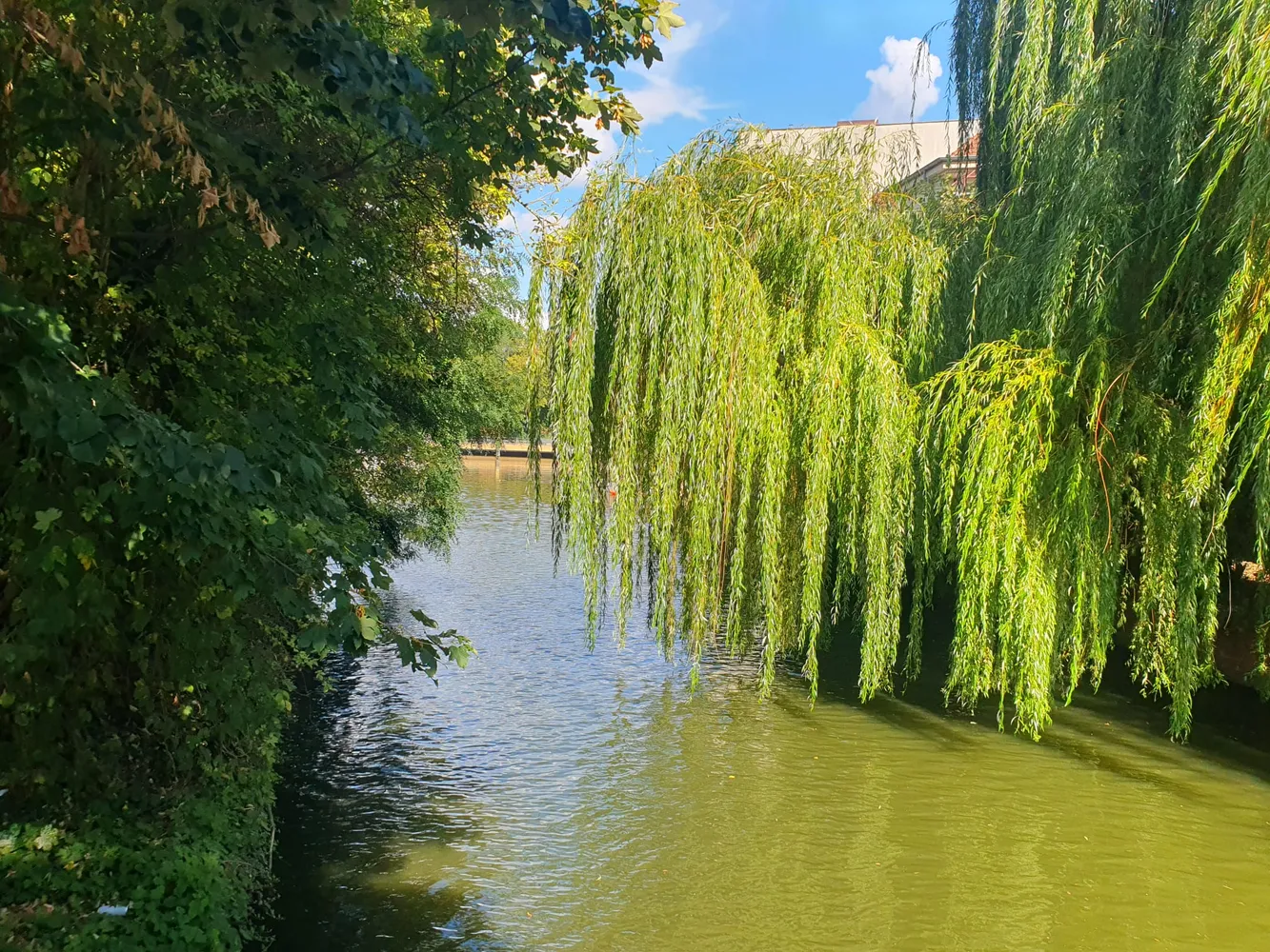 2 Zimmer Wohnung mit 56 m² in Berlin – Bild 10