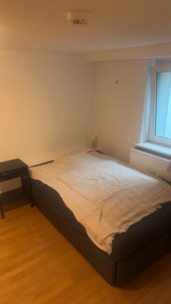 2 room apartment with 29 m² in Frankfurt am Main – Photo 5