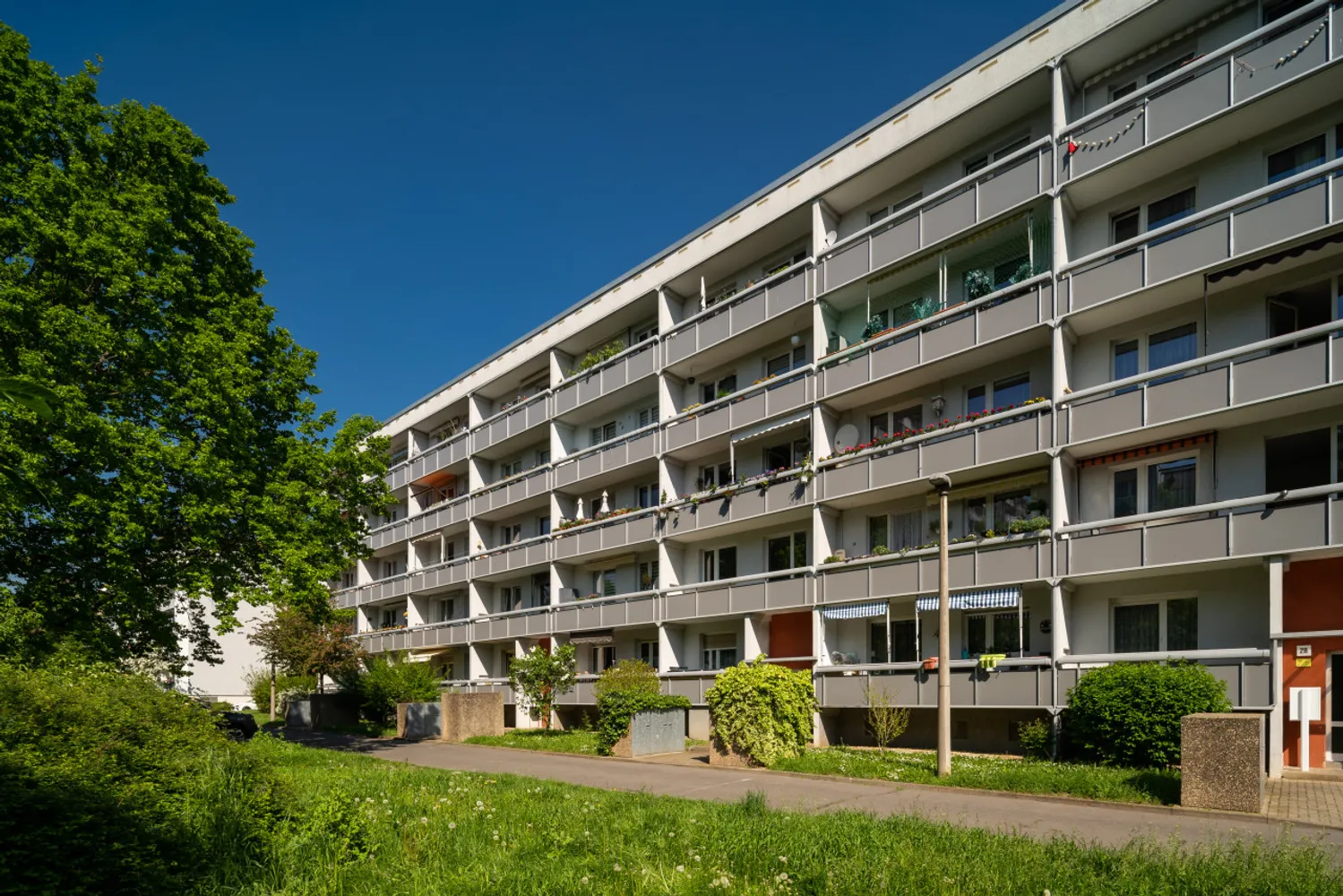 3 Zimmer Wohnung mit 59 m² in Halle (Saale) – Bild 4