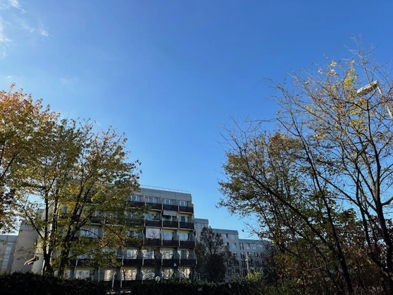 1 Zimmer Wohnung mit 20 m² in Mainz – Bild 1