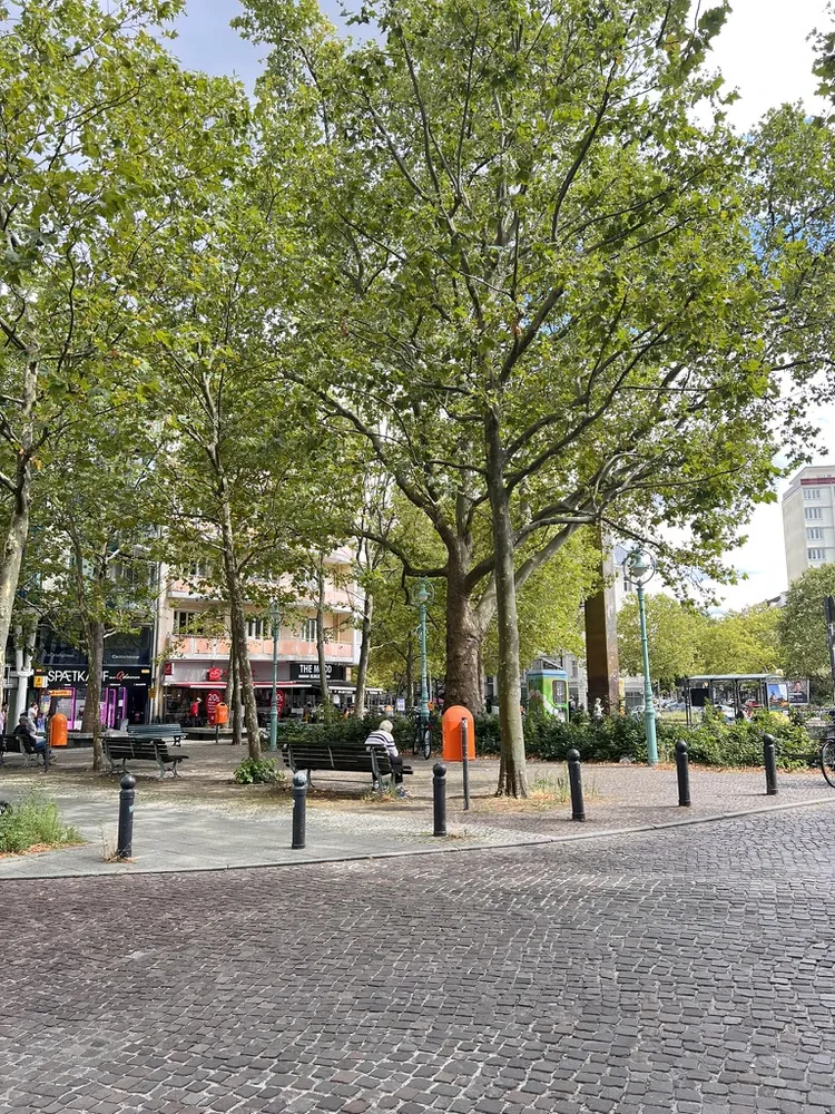 1 Zimmer Wohnung mit 50 m² in Berlin – Bild 3