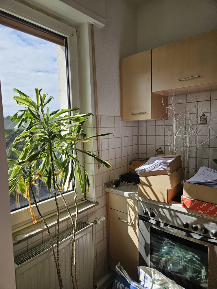 1 Zimmer Wohnung mit 35 m² in Dortmund – Bild 2