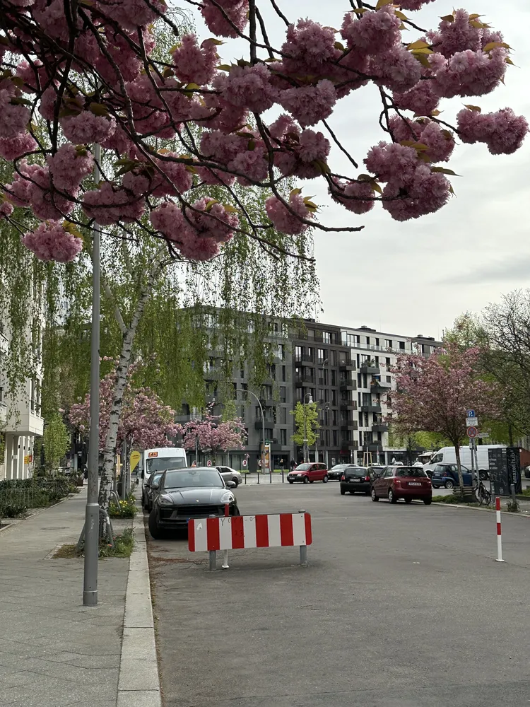 2 Zimmer Wohnung mit 60 m² in Berlin – Bild 11