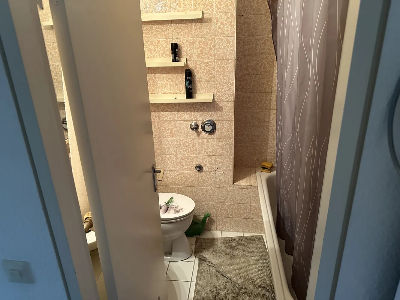 2 Zimmer Wohnung mit 51 m² in Ludwigshafen am Rhein – Bild 6