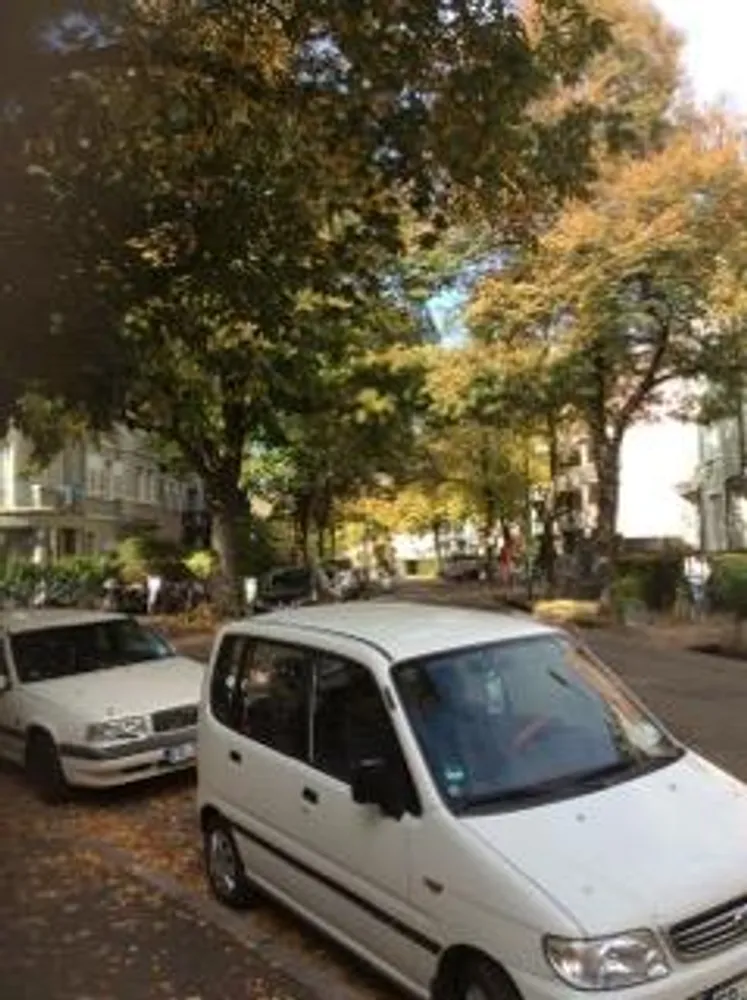 1 Zimmer Wohnung mit 31 m² in Freiburg im Breisgau – Bild 3