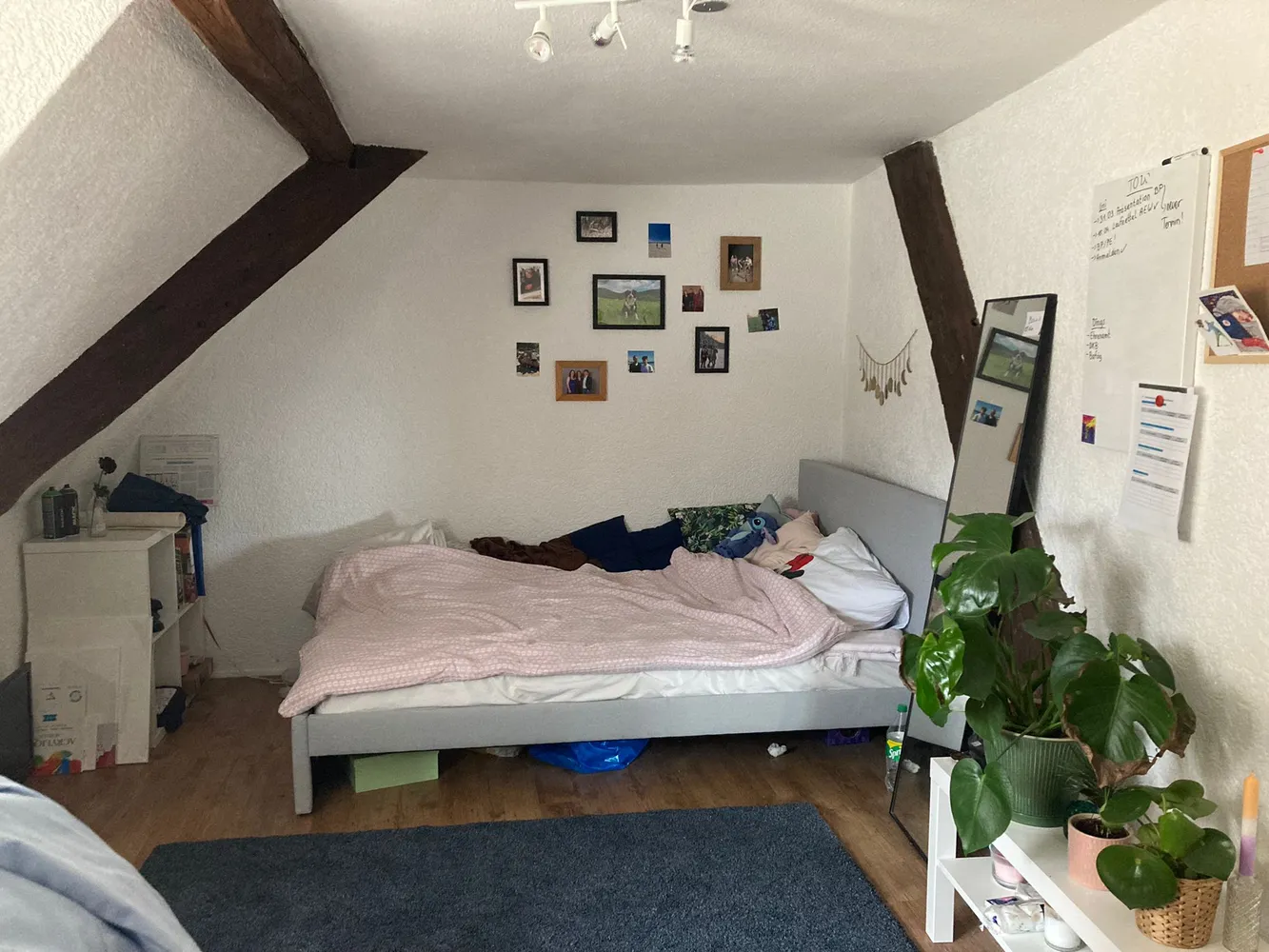 3 Zimmer Wohnung mit 80 m² in Landau in der Pfalz – Bild 9