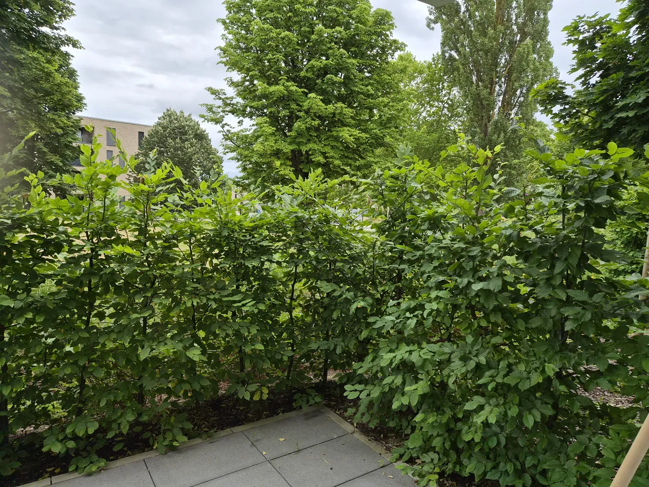 2 Zimmer Wohnung mit 60 m² in Schweinfurt – Bild 7