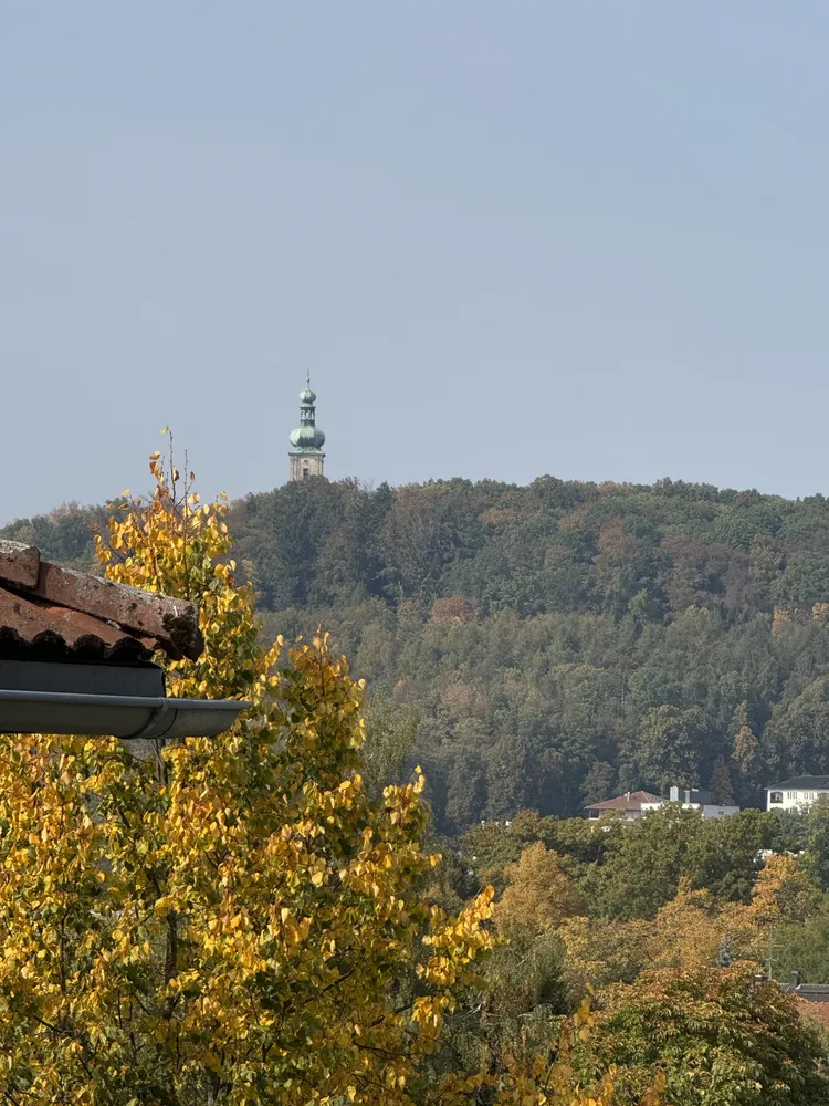 3 room apartment with 82 m² in Amberg – Photo 9