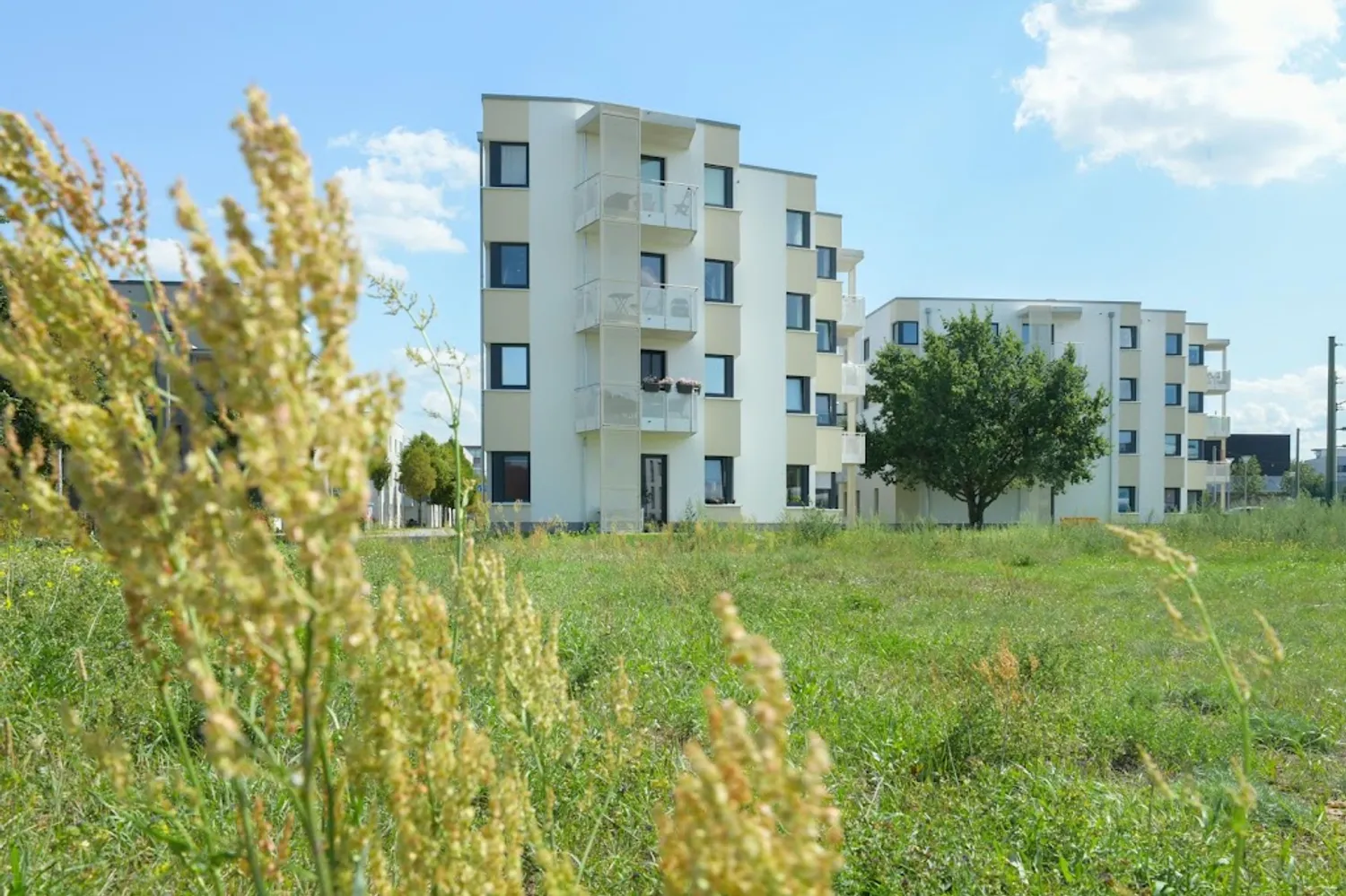 3 Zimmer Wohnung mit 79 m² in Berlin – Bild 6