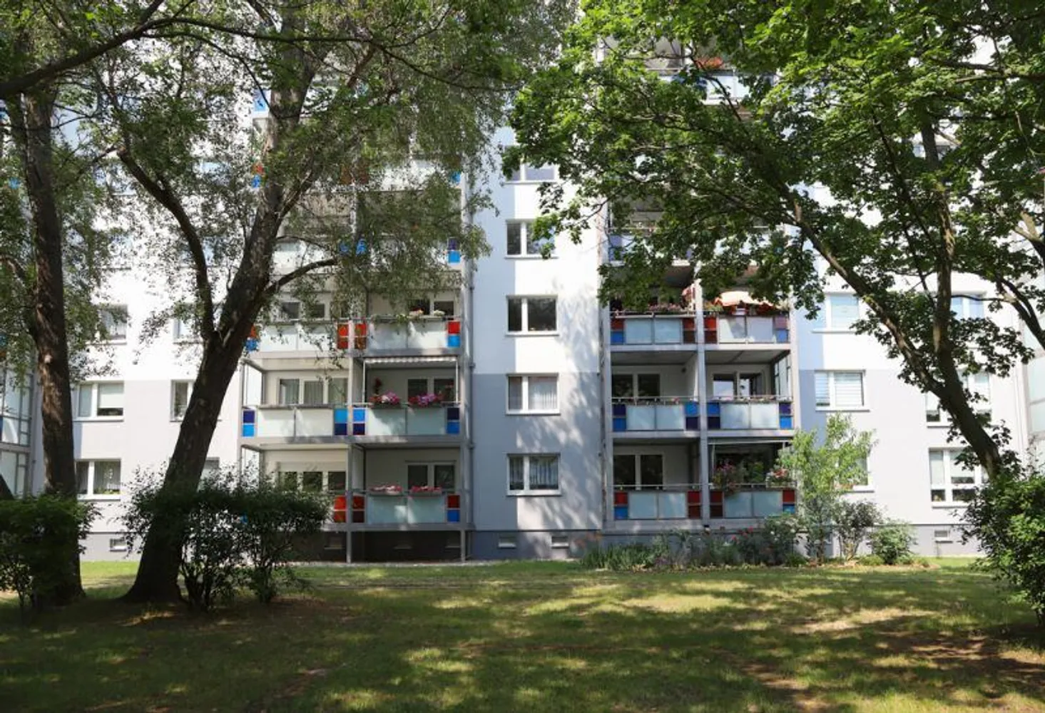 3 Zimmer Wohnung mit 75 m² in Magdeburg – Bild 4