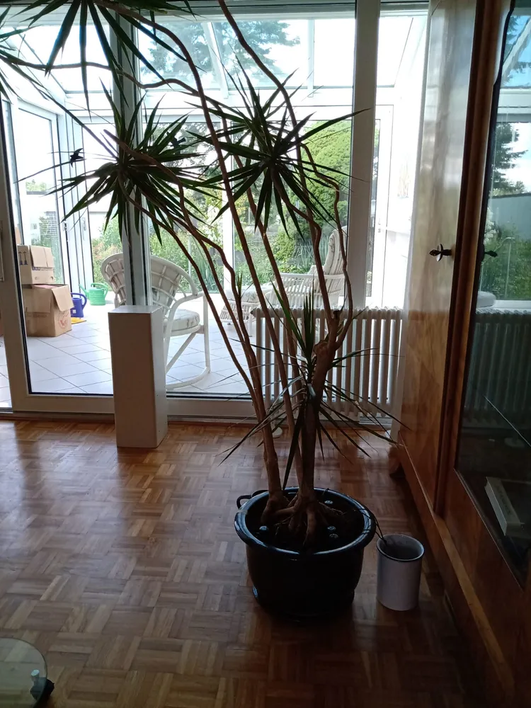 6 Zimmer Haus mit 142 m² in Wiesbaden – Bild 4